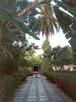 Jardin de la Bahia